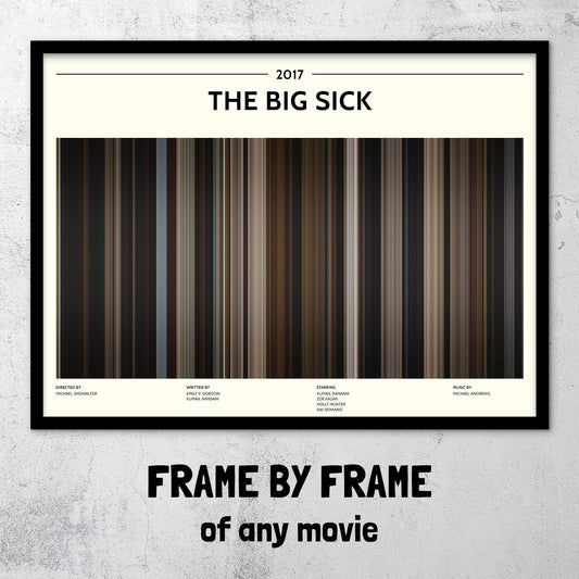 The Big Sick (2017) Barcode Palette